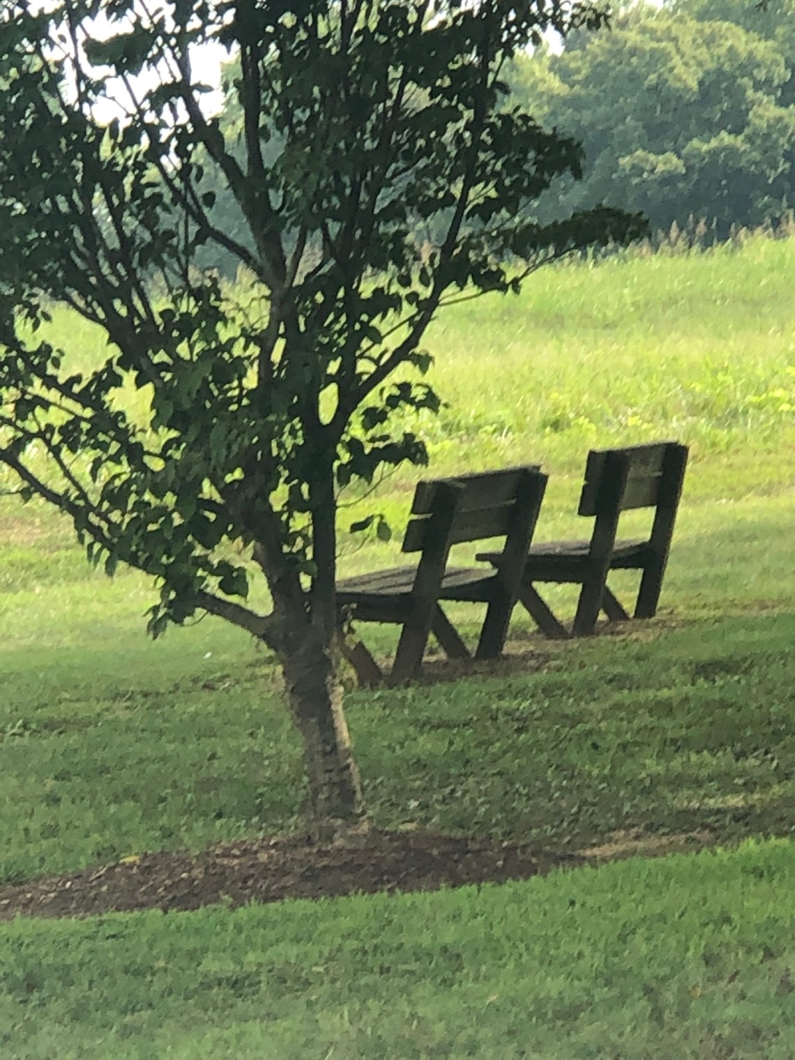 2D787B84-8177-4F7D-A510-F474FAE65458