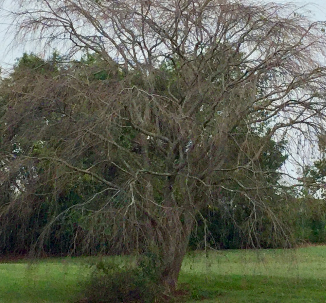 4CB0D9E7-687F-40E7-A9C9-CF6C4B5F73C7